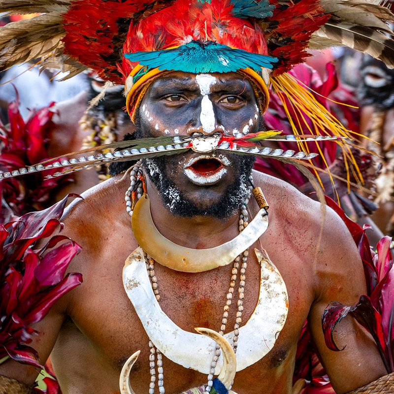 meeting tribes in Goroka Festival during trip to Papua New Guinea I encuentro con tribus en Festival Goroka durante viaje a Papúa Nueva Guinea